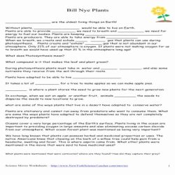 Bill nye biodiversity worksheet answers