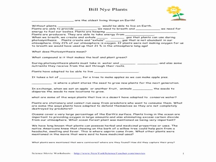 Bill nye biodiversity worksheet answers