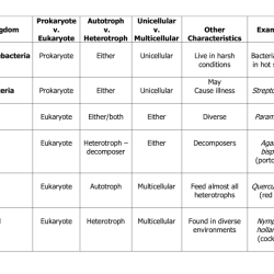 Six kingdoms worksheet answer key