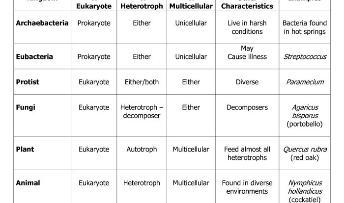 Six kingdoms worksheet answer key