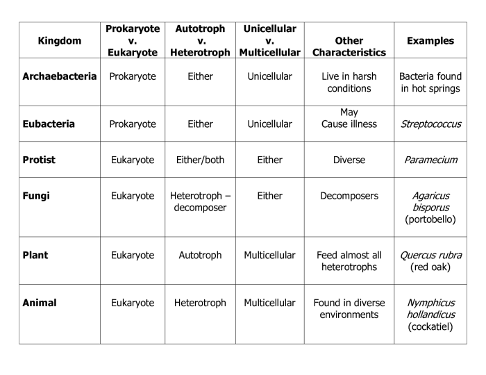 Six kingdoms worksheet answer key