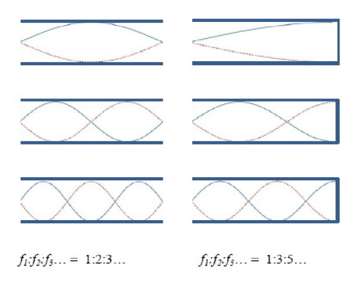 For both waves on strings and sound waves in tubes