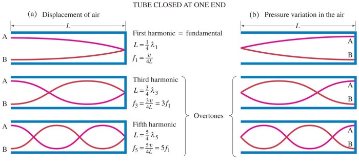 For both waves on strings and sound waves in tubes